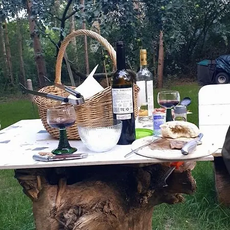 Pod Trzema Kuropatwami Kolo Urli Casa vacanze *