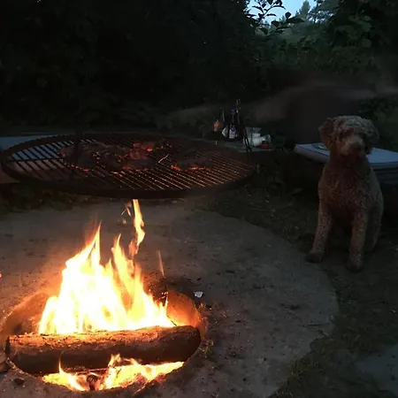 Pod Trzema Kuropatwami Kolo Urli * Ily